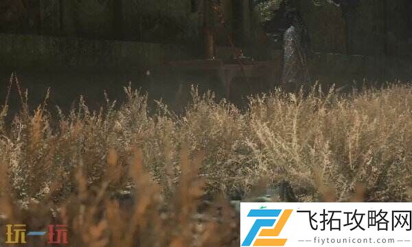 还魂草获取方法攻略