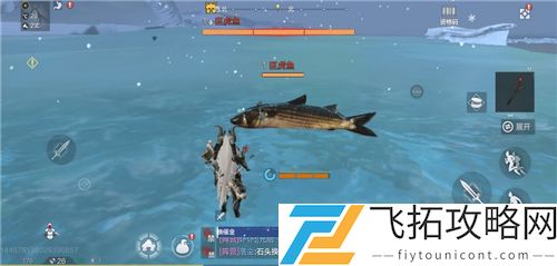 妄想山海冰块怎么获得长什么样子
