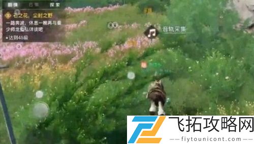 天谕课堂展示二在哪里完成