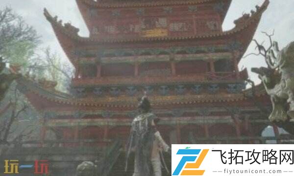 鹦鹉杯用途介绍