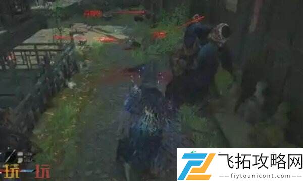 鹦鹉杯用途介绍