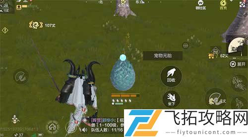 妄想山海宠物蛋刷新点在哪捡