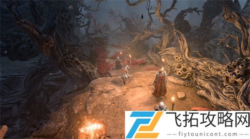 博德之门3下城区装备海浪之母的长袍获取攻略