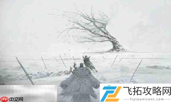 古代木简用途详细说明