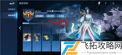 王者荣耀贵族V10怎么共享皮肤给别人