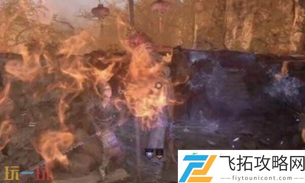 乌黑的药丸用途分享