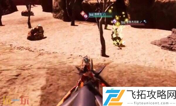 波鲁杰克斯位置详细介绍