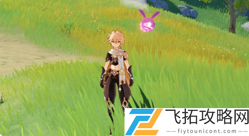 原神迷你仙灵有什么用