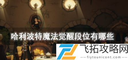 哈利波特魔法觉醒段位介绍攻略