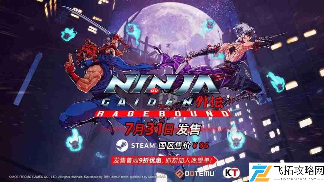 忍者外传