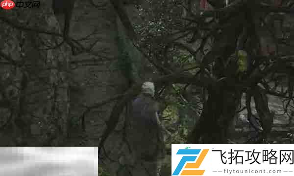 护子玉佩效果介绍