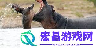 河马剧场是否安全