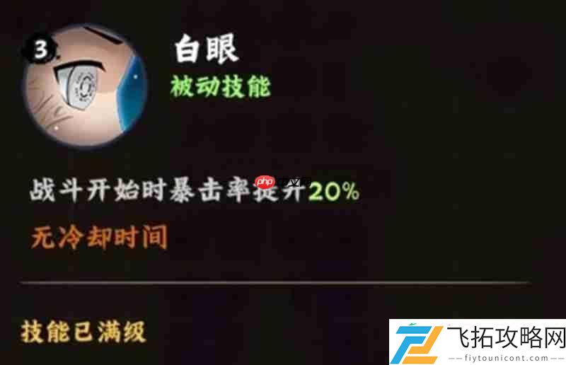 日向雏田有什么技能
