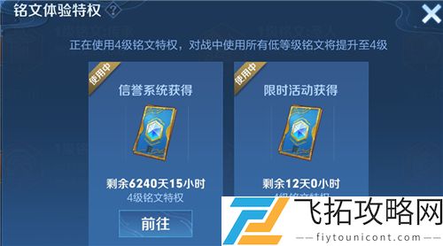 王者荣耀铭文体验特权怎么用
