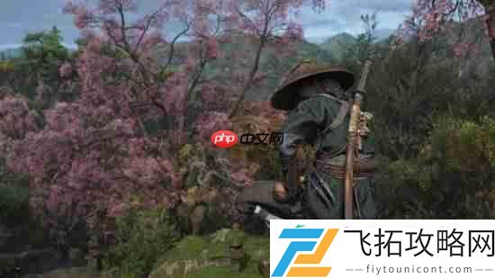 刺客信条影双主角无法同时上场