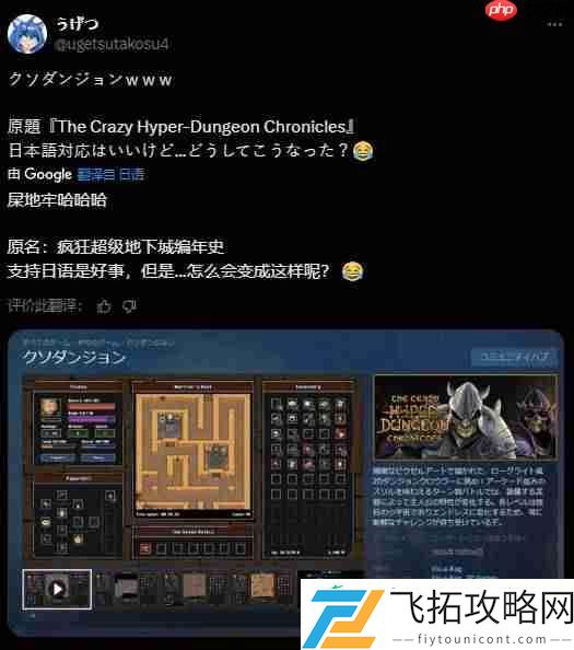 机翻失误！一款游戏意外
