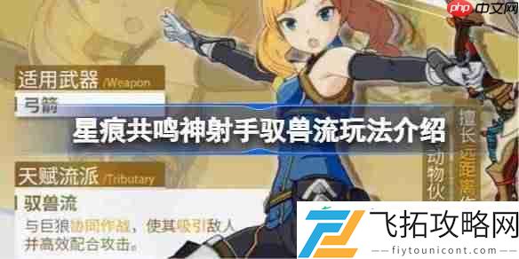 星痕共鸣神射手驭兽流玩法介绍