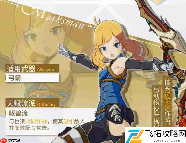 星痕共鸣神射手驭兽流玩法介绍