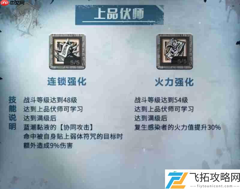 伏师职业全阶段技能解析