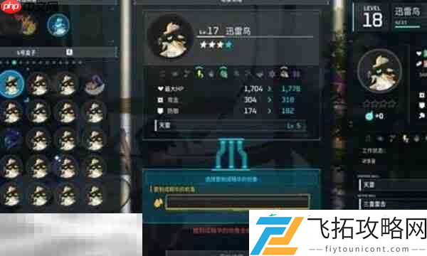 升星详细作用介绍