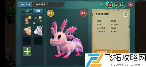 创造与魔法大蝾螈位置攻略