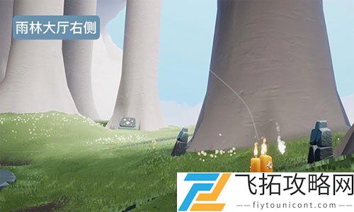 光遇预言季雨林季节蜡烛位置一览