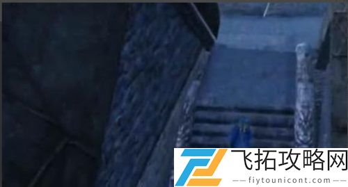 黑色沙漠手游消失的浣熊过关攻略