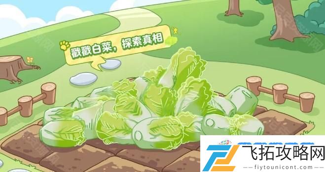 元梦之星蔬菜精灵联动什么时候上线 蔬菜精灵联动上线时间一览