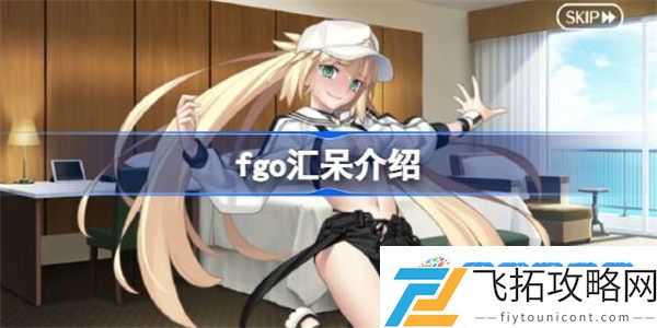 fgo汇呆是谁 fgo汇呆介绍