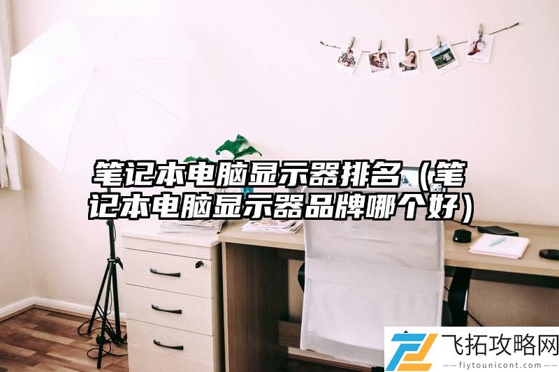 笔记本电脑显示器排名：哪些品牌在2024年表现突出？