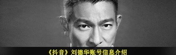 刘德华抖音号是什么-刘德华账号信息介绍