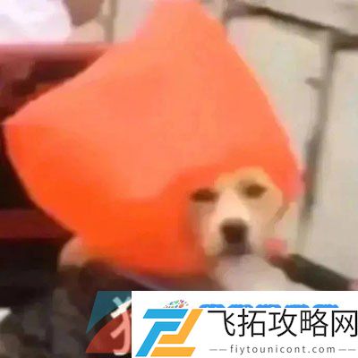 稳啦稳啦是什么梗-稳啦稳啦梗的意思介绍