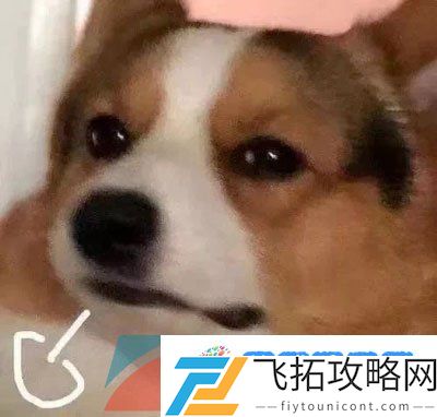 稳啦稳啦是什么梗-稳啦稳啦梗的意思介绍
