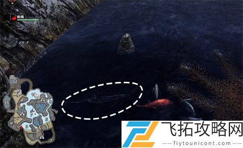 怪物猎人崛起旗鱼能在何处钓取？快速获取技巧与位置解析
