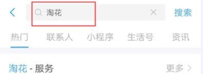 淘花app怎么用-APP开通赚钱使用教程