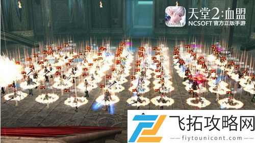 炉石传说乌索尔世界树骑卡组介绍：一探这款热门卡组的核心构筑与打法