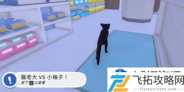小猫咪大城市