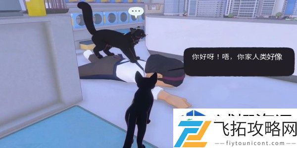 小猫咪大城市