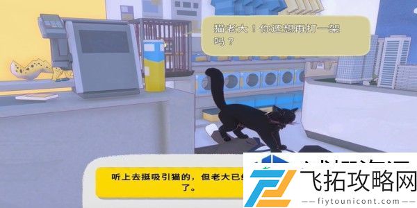 小猫咪大城市