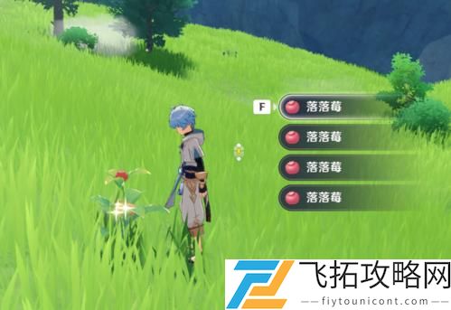 原神落落梅采集地点一览