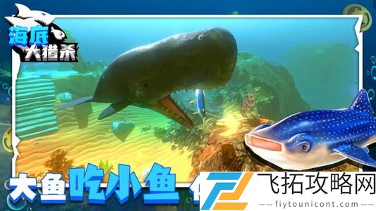 海底大猎杀新手攻略大全
