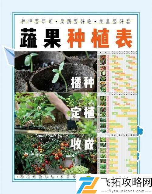 植物园收菜技巧大公开！这些隐藏资源让你这是我的战争绝地翻盘