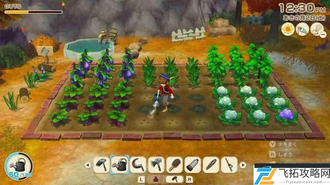 牧场物语系列最新作
