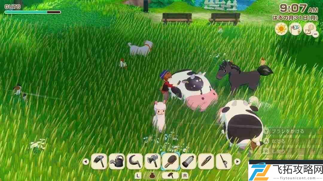 牧场物语系列最新作