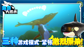 《逃出生天》第一关攻略：掌握通关技巧，与伙伴共创奇迹