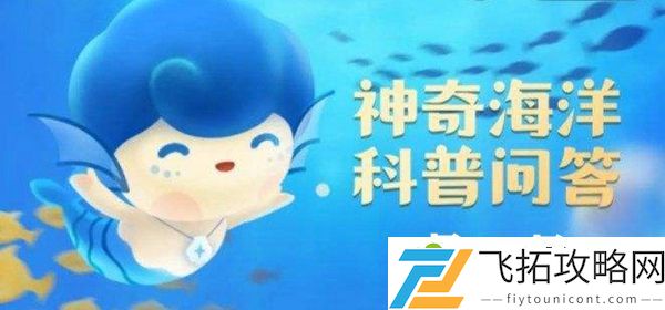 神奇海洋今日答案8.19