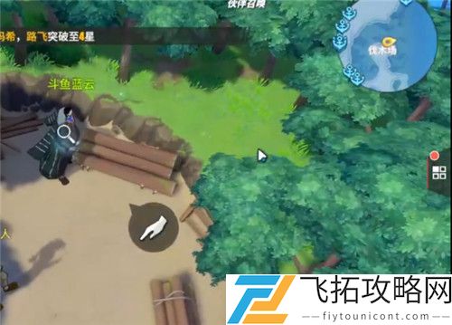 航海王热血航线海盗的浪漫任务攻略