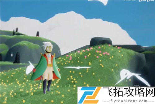 光遇小王子联动物品所有图片