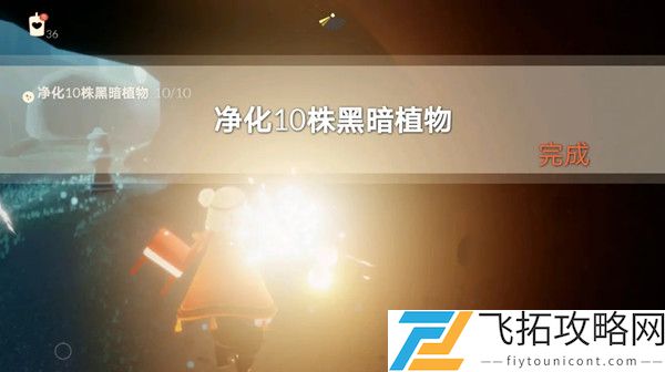 光遇5月19日任务攻略大全