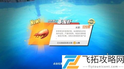航海王热血航线奇遇旅行家的任务怎么做